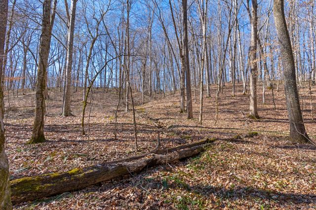 801 Collier Bend Road, Charlotte, TN 37036