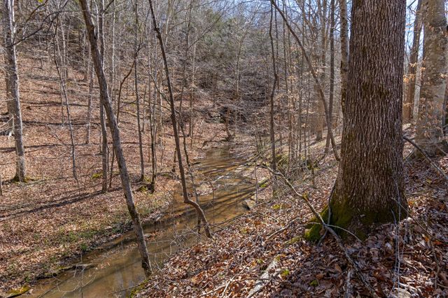 801 Collier Bend Road, Charlotte, TN 37036