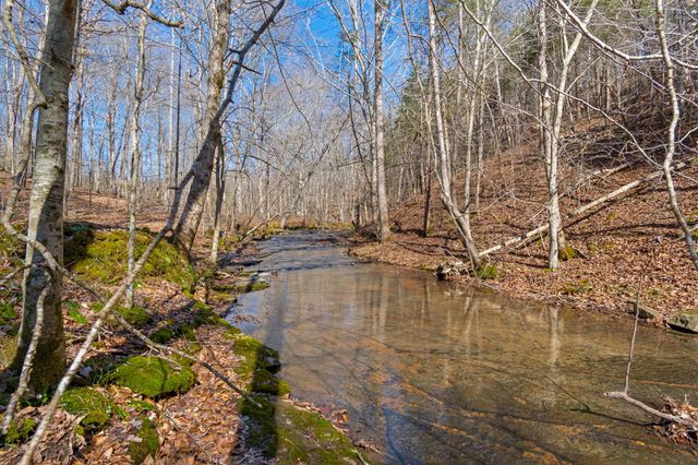 801 Collier Bend Road, Charlotte, TN 37036