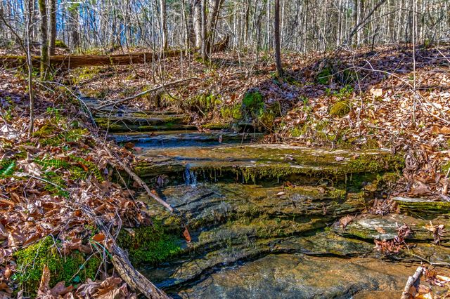 801 Collier Bend Road, Charlotte, TN 37036