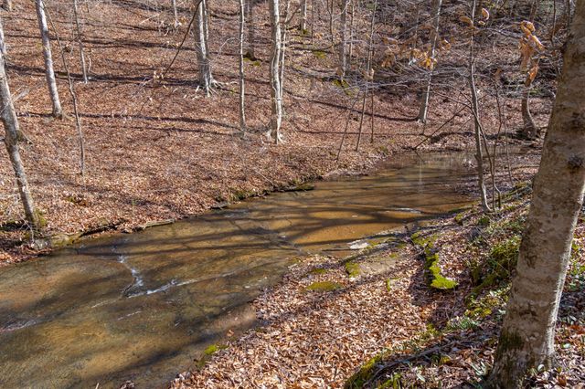 801 Collier Bend Road, Charlotte, TN 37036