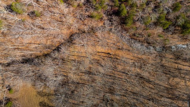 801 Collier Bend Road, Charlotte, TN 37036