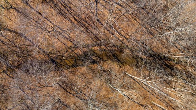 801 Collier Bend Road, Charlotte, TN 37036