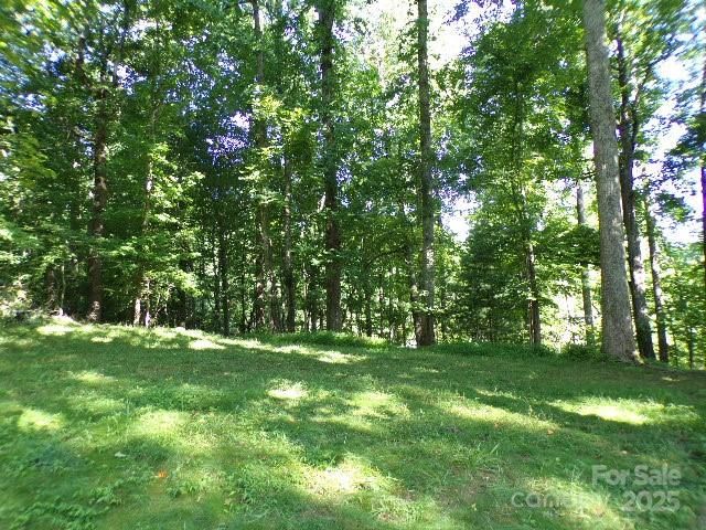 140 Beechwood Circle, Laurel Park, NC 28739
