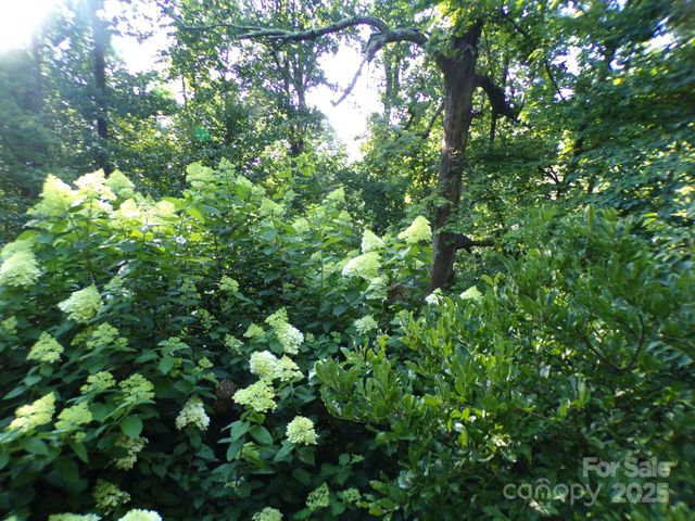 140 Beechwood Circle, Laurel Park, NC 28739