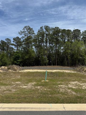 1047 SW 147TH TERRACE, Newberry, FL 32669