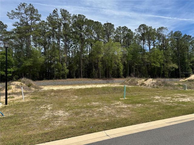 1047 SW 147TH TERRACE, Newberry, FL 32669
