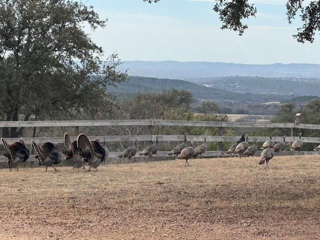 1300 Sycamore Falls WAY, Marble Falls, TX 78654