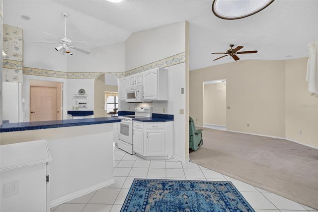 811 MIRANDA WAY, The Villages, FL 32159