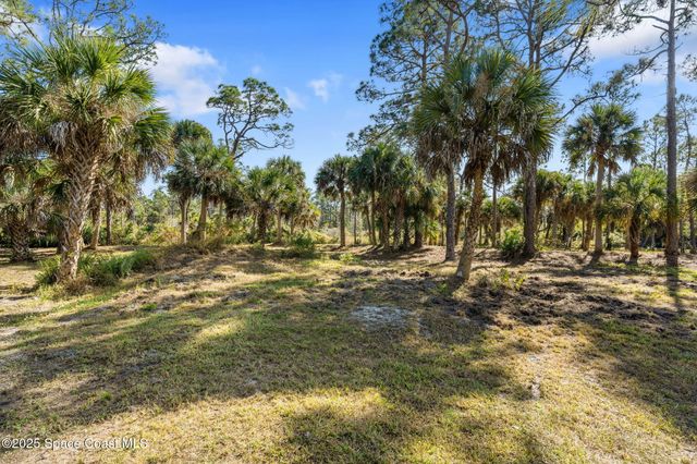 5849 Judy Kay Road, Grant, FL 32949