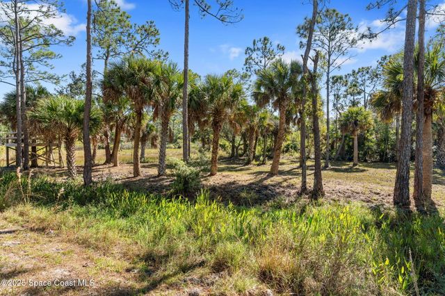 5849 Judy Kay Road, Grant, FL 32949