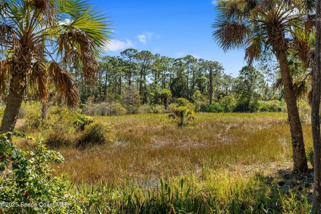 5849 Judy Kay Road, Grant, FL 32949