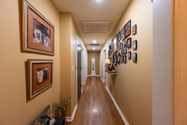 744 W Lasalle Street, Springfield, MO 65807