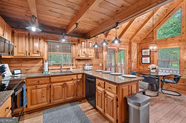 200 Dusty Bryson Drive, Suches, GA 30572