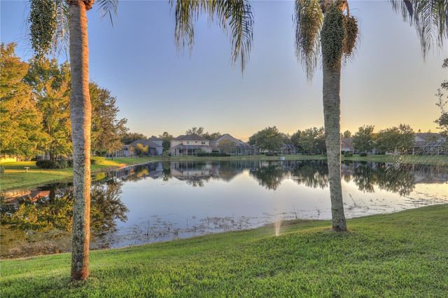 10215 EVERGREEN HILL DRIVE, Tampa, FL 33647