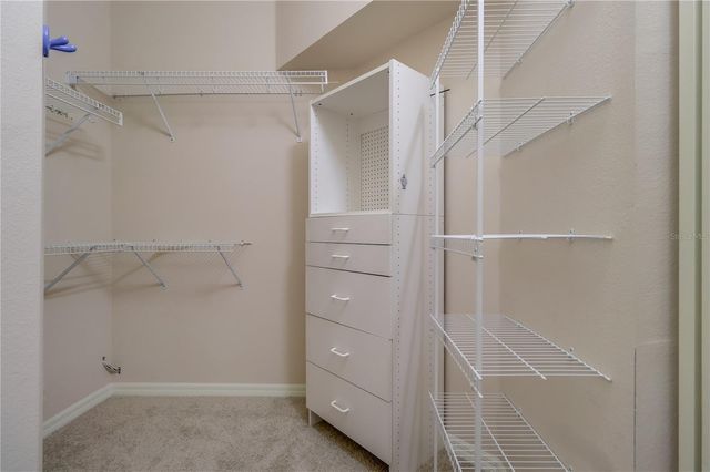 10215 EVERGREEN HILL DRIVE, Tampa, FL 33647