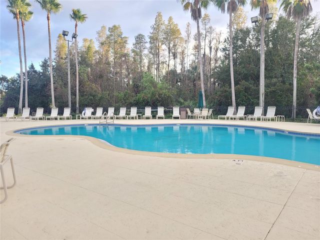 10215 EVERGREEN HILL DRIVE, Tampa, FL 33647