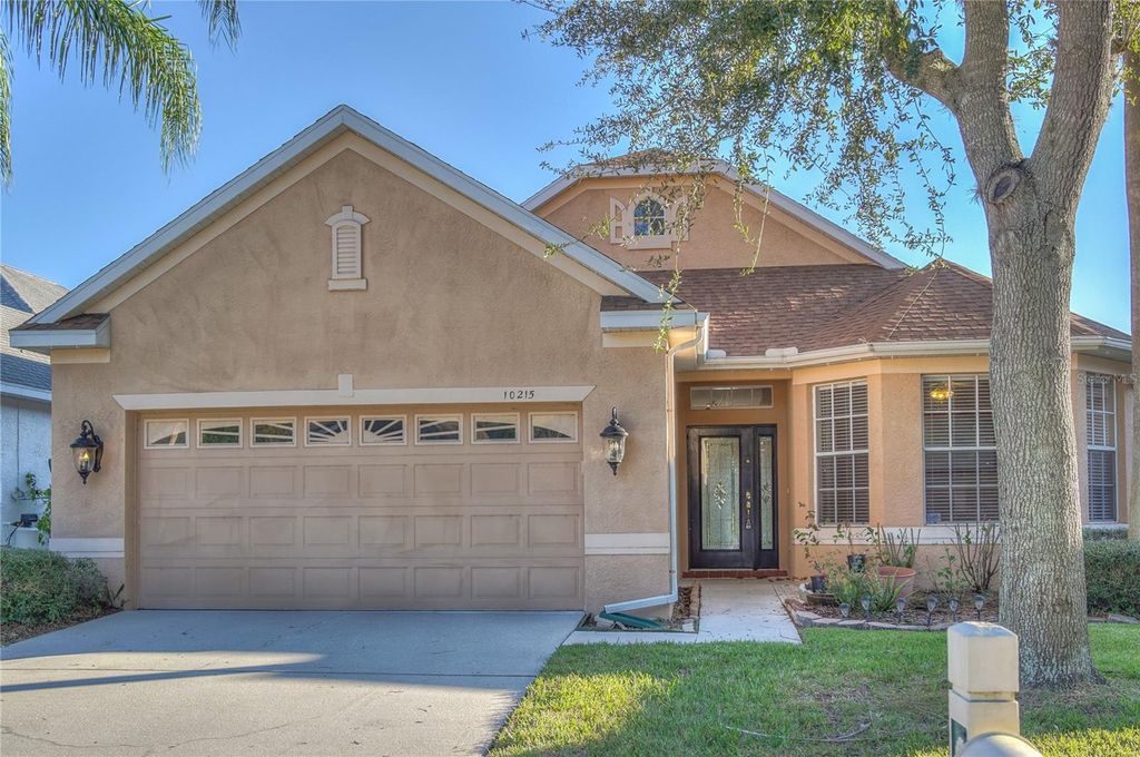 10215 EVERGREEN HILL DRIVE, Tampa, FL 33647