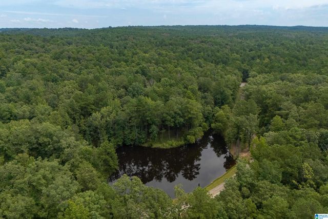 5720 BLACK CREEK DRIVE, Bessemer, AL 35022