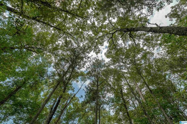 5720 BLACK CREEK DRIVE, Bessemer, AL 35022