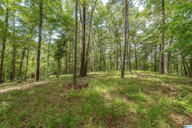 5720 BLACK CREEK DRIVE, Bessemer, AL 35022