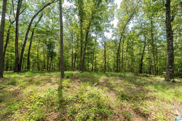 5720 BLACK CREEK DRIVE, Bessemer, AL 35022