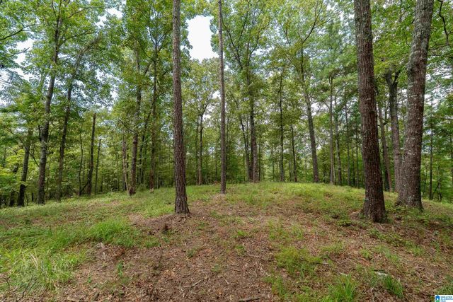 5720 BLACK CREEK DRIVE, Bessemer, AL 35022