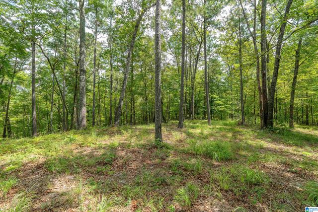5720 BLACK CREEK DRIVE, Bessemer, AL 35022