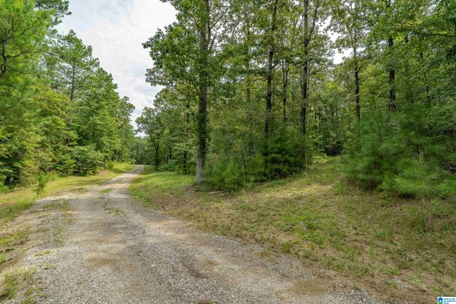 5720 BLACK CREEK DRIVE, Bessemer, AL 35022