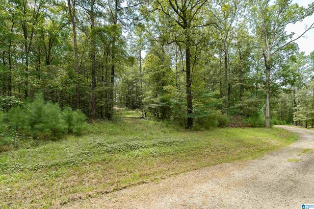 5720 BLACK CREEK DRIVE, Bessemer, AL 35022