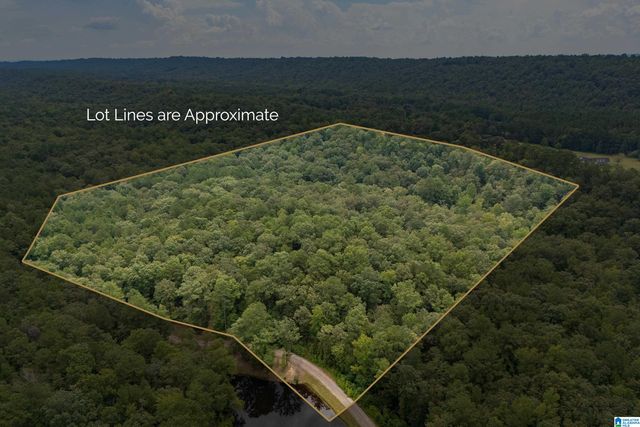 5720 BLACK CREEK DRIVE, Bessemer, AL 35022
