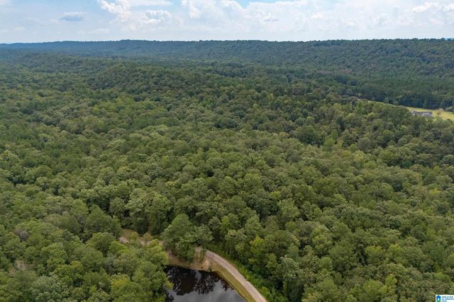 5720 BLACK CREEK DRIVE, Bessemer, AL 35022