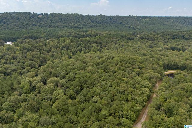 5720 BLACK CREEK DRIVE, Bessemer, AL 35022