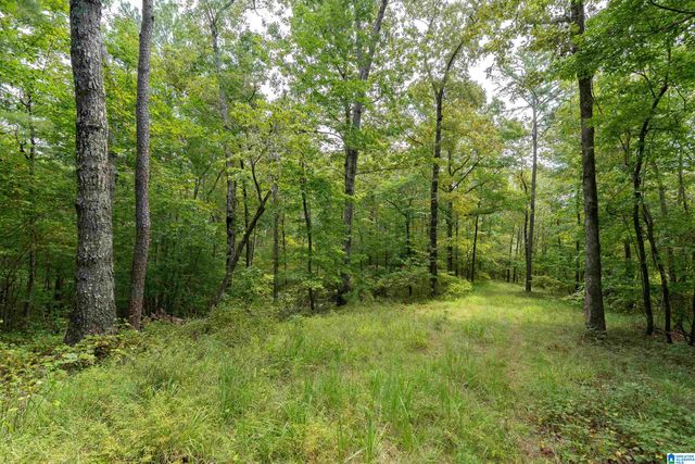 5720 BLACK CREEK DRIVE, Bessemer, AL 35022