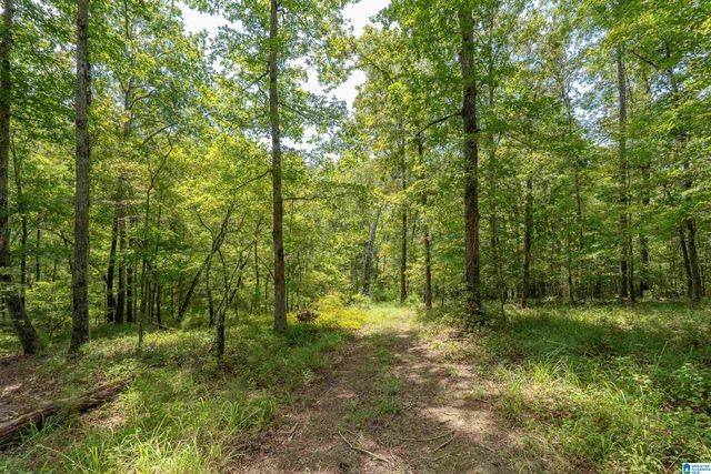 5720 BLACK CREEK DRIVE, Bessemer, AL 35022