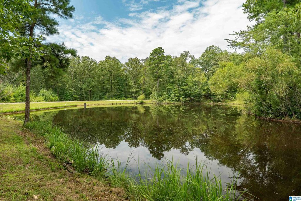 5720 BLACK CREEK DRIVE, Bessemer, AL 35022