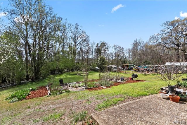 5727 Clearview Hills, Cottondale, AL 35453