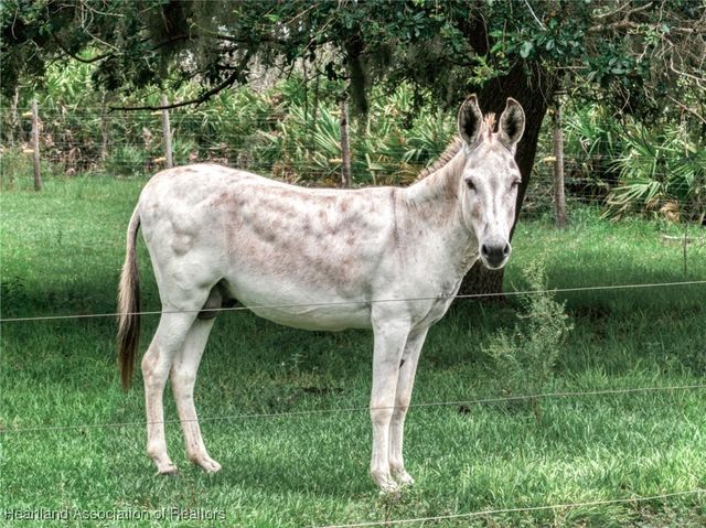 6356 Johnston Road, Zolfo Springs, FL 33890