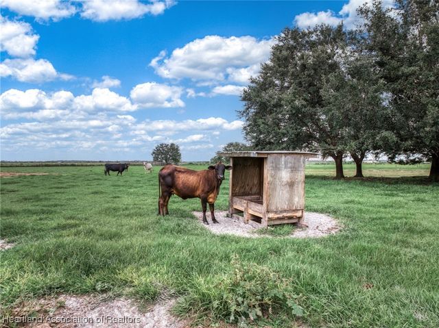 6356 Johnston Road, Zolfo Springs, FL 33890