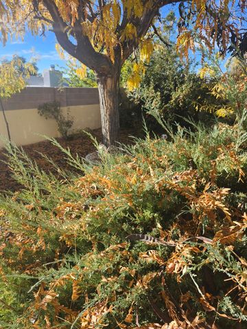 8805 Yankee Drive NE, Albuquerque, NM 87109