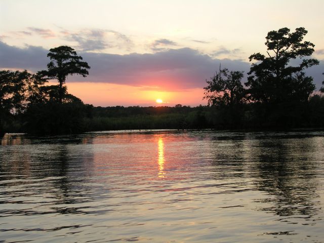 6 Caleb Ct., Murrells Inlet, SC 29576