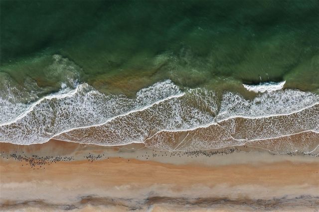 131 ISLAND ESTATES PARKWAY, Palm Coast, FL 32137