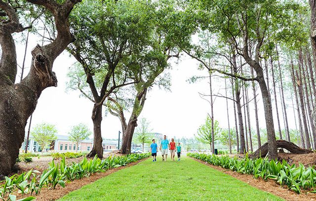989 Scotch Bonnet Way, Summerville, SC 29485