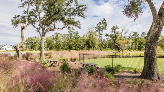 989 Scotch Bonnet Way, Summerville, SC 29485