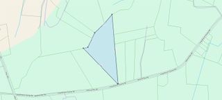 TBD (Tract 1) Long Branch Swamp Rd., Green Sea, SC 29545