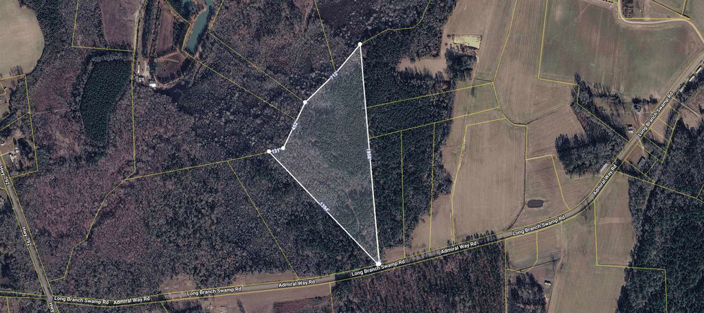 TBD (Tract 1) Long Branch Swamp Rd., Green Sea, SC 29545 — photo 2
