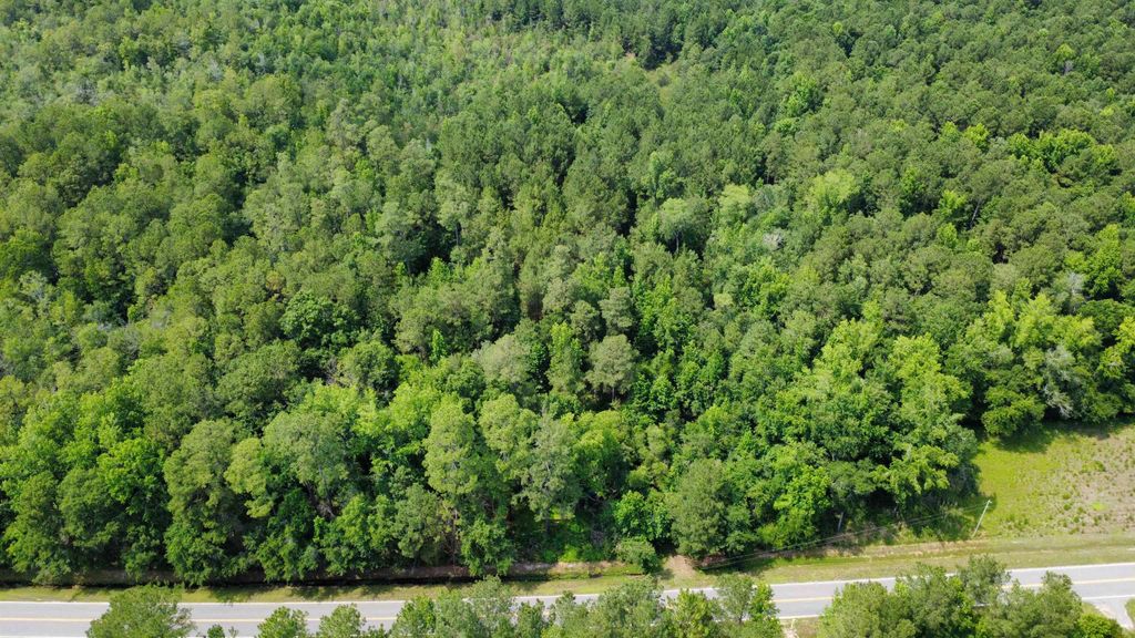TBD (Tract 1) Long Branch Swamp Rd., Green Sea, SC 29545 — photo 3