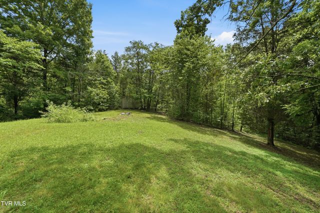 415 Berry Road, Bulls Gap, TN 37711