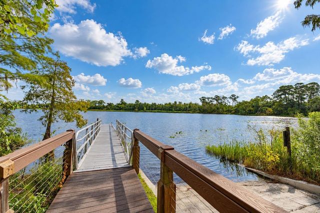 10330 ROYAL CYPRESS WAY, Orlando, FL 32836