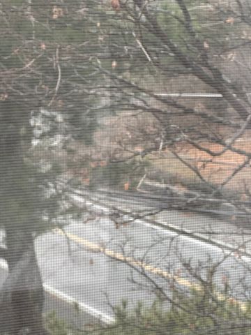 78 Lorenzo Circle, Methuen, MA 01844